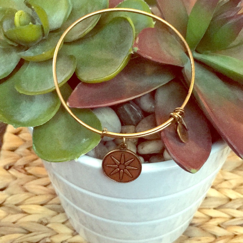 Alex and Ani Bangle